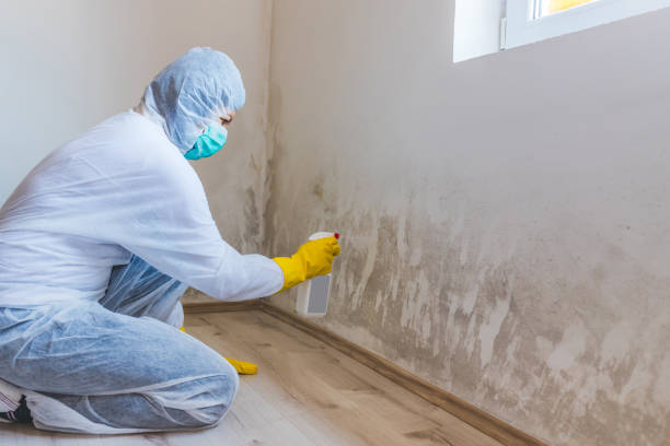 Licensed Crawl Space Mold Removal service in Zuni, VA - WQB Mold Removal