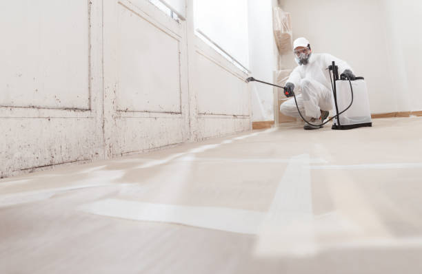 Trusted Crawl Space Mold Removal service in Zuni, VA - WQB Mold Removal